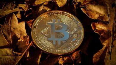 bitcoin, currency, finance, coin, crypto, cryptocurrency, brown finance, bitcoin, crypto, crypto, crypto, crypto, cryptocurrency, cryptocurrency, cryptocurrency, cryptocurrency, cryptocurrency