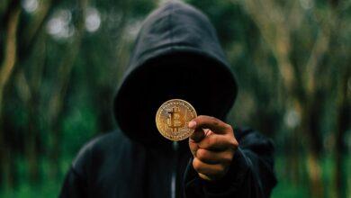 bitcoin, coin, hoodie, mysterious, man, money, cryptocurrency, crypto, digital, blockchain, cryptography, hacker, showing, hand, bitcoin, bitcoin, cryptocurrency, cryptocurrency, crypto, crypto, crypto, crypto, crypto, hacker