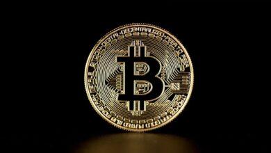 bitcoin, coin, crypto-currency, money, currency, finance, digital, cash, virtual, payment, internet, gold, electronic, cryptography, stock exchange, financial, banking, network, technology, trade, exchange, symbol, bitcoin, bitcoin, bitcoin, bitcoin, bitcoin