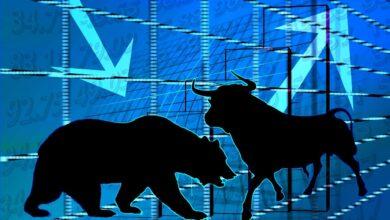 stock exchange, bull, bear