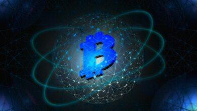 bitcoin, investment, digital, network, currency, cryptocurrency, money, technology, bitcoin, bitcoin, bitcoin, bitcoin, bitcoin, cryptocurrency, cryptocurrency