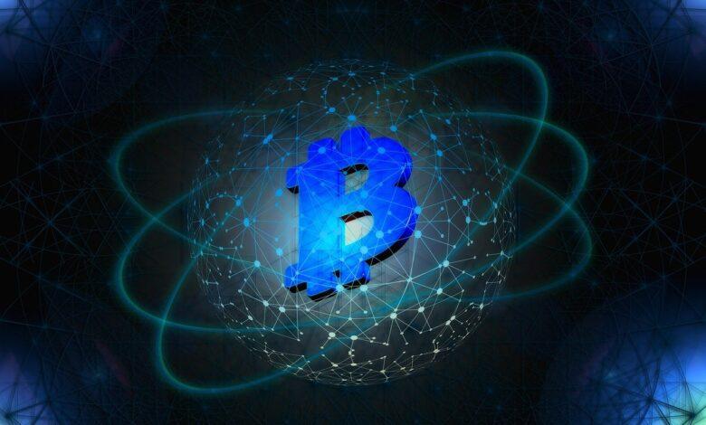 bitcoin, investment, digital, network, currency, cryptocurrency, money, technology, bitcoin, bitcoin, bitcoin, bitcoin, bitcoin, cryptocurrency, cryptocurrency