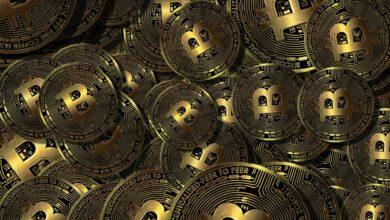 bitcoin, stock exchange, profit, share, cryptocurrency, currency, money, bitcoin, bitcoin, bitcoin, bitcoin, bitcoin, cryptocurrency