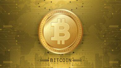 bitcoin, crypto currency, blockchain, currency, crypto, digital, technology, virtual, metaverse, futuristic, money, finance, coin, background, design, wallpaper, metaverse, metaverse, metaverse, metaverse, metaverse