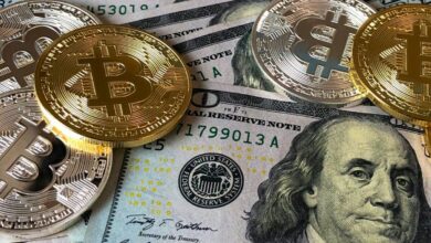 A close-up photo depicting Bitcoin coins on top of US dollar bills, symbolizing finance and cryptocurrency.