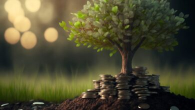 tree, nature, spring, grass, landscape, plant, garden, leaves, coins, money, growth, investing, saving, pension, retirement, happiness, wealth, ai generated, money, money, investing, investing, investing, wealth, wealth, wealth, wealth, wealth