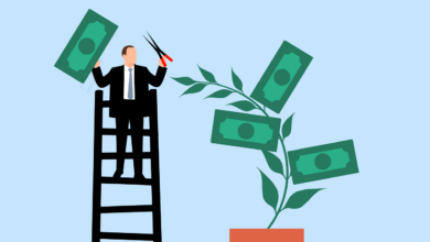 business man, investment, profit, gain, business, collect, money, plant, trim, nature, trimming, scissors, finance, success, growth, wealth, cash, rich, savings, income, earnings, accounting, cartoon, salary, payment, passive income