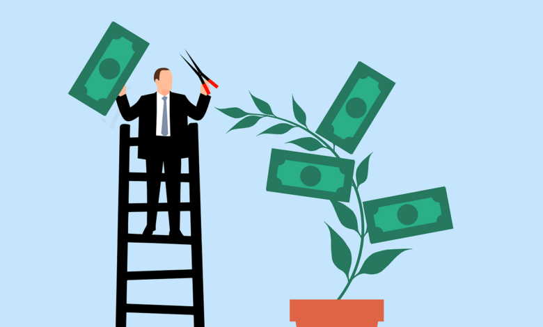 business man, investment, profit, gain, business, collect, money, plant, trim, nature, trimming, scissors, finance, success, growth, wealth, cash, rich, savings, income, earnings, accounting, cartoon, salary, payment, passive income